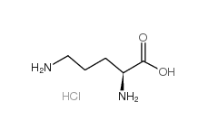 H-Orn-OH·HCl  CAS No.: 3184-1