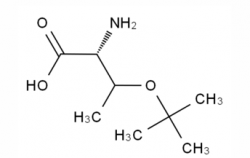 H-Thr(tBu)-OH  CAS No.: 4378-1