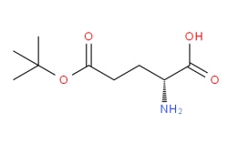 H-Glu(OtBu)-OH CAS No.: 2419-5